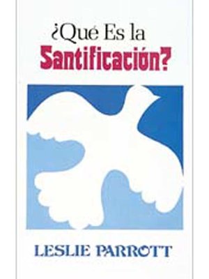 cover image of Que es la santificación